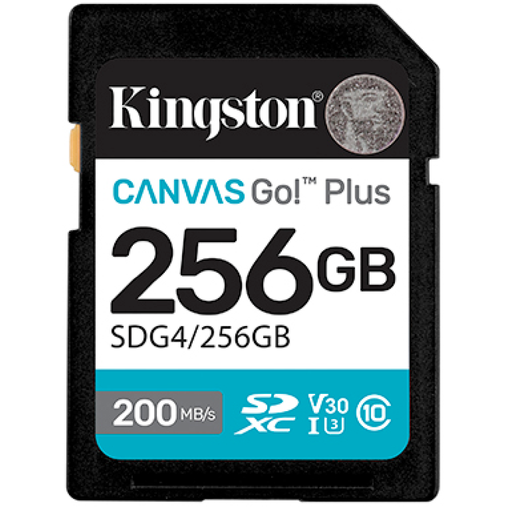 Карта памяти SD 256GB Class 10 U3 Kingston SDG4/256GB