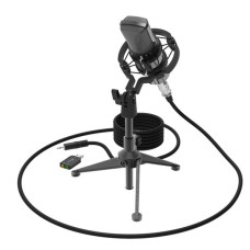 Студийный микрофон Ritmix RDM-160 черный