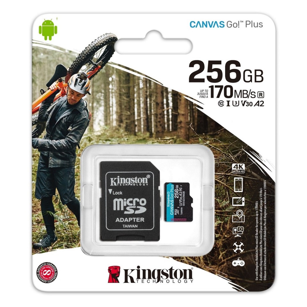 Карта памяти microSD 256GB Kingston SDCG3/256GB Карта памяти microSD 256GB Kingston SDCG3/256GB