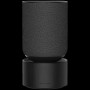 Bang & Olufsen Beosound Balance AL2 Black oak - FLEX