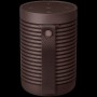 Bang & Olufsen Beosound Explore Chestnut - OTG