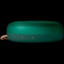 Bang & Olufsen Beosound A1 2nd Gen Green - OTG