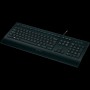 LOGITECH K280e Corded Keyboard - BLACK - USB - RUS - B2B