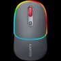 CANYON mouse MW-22 2in1 BT/ Wireless Dark Grey