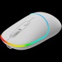 CANYON mouse MW-22 2in1 BT/ Wireless Snow White