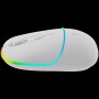 CANYON mouse MW-22 2in1 BT/ Wireless Snow White