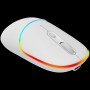 CANYON mouse MW-22 2in1 BT/ Wireless Snow White