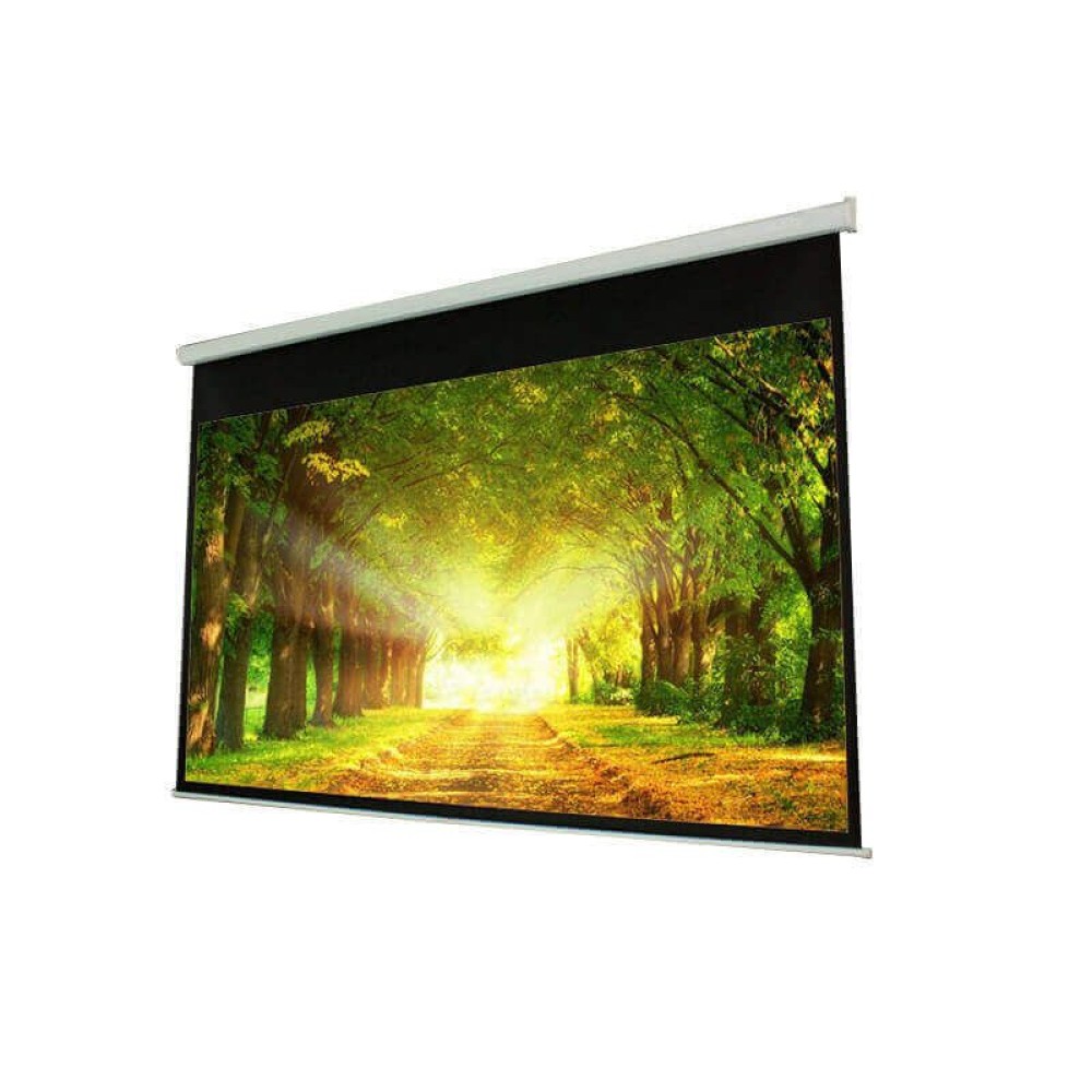 PROscreen Экран моторизованный MLE9120